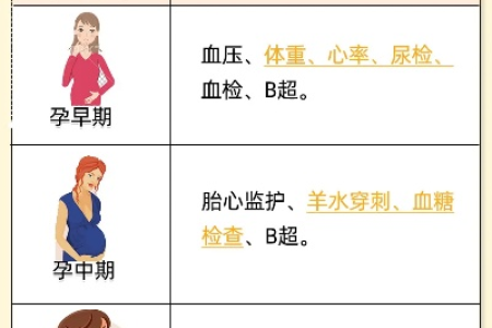 孕前准备健康证：血常规检查项目有哪些？