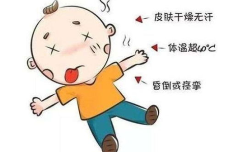 夏季高温中暑怎么办？三种薯类帮你预防