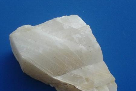 夏季高温伤肠胃？教你吃出清凉，远离热毒烦恼！