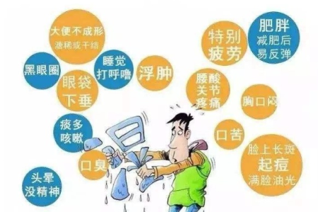 如何轻松去除夏季湿气？实用方法大公开