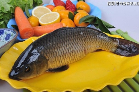 秋季养生吃鱼推荐：营养美味，让你食欲大增！
