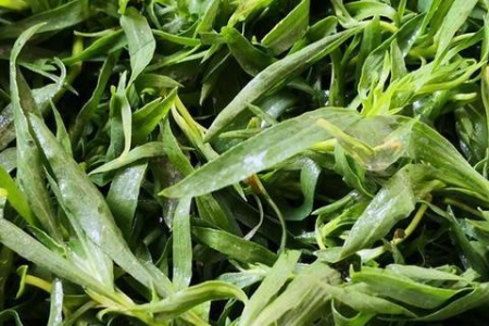 口干舌燥怎么办？春季祛火食谱，简单易做，全家都爱吃
