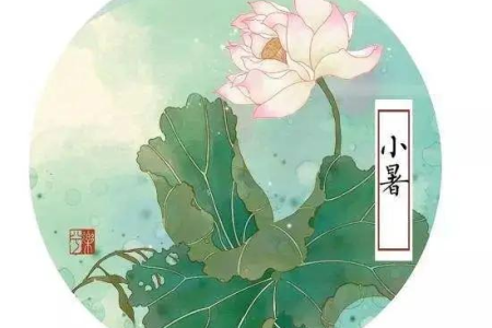 小暑节气养生指南：苦味食物帮你清热降火