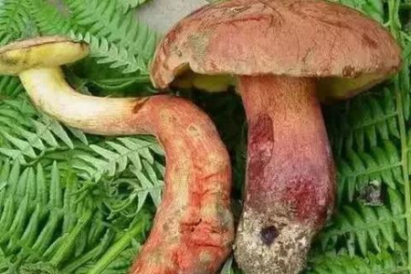 警惕！夏季这七种食物最危险，稍不注意就可能食物中毒！
