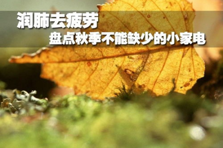 秋天来了，教你几招简单有效的润肺方法
