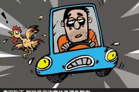 打败春困秋乏夏打盹，这些食物是你的能量补给站！