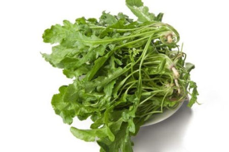 15种春季美味野菜推荐，让你健康又美味过春天！