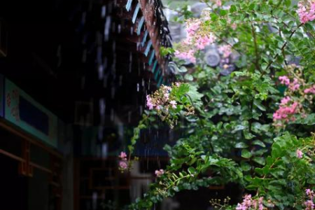 春雨绵绵的季节，你的健康防护指南