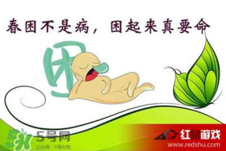 17款简单易做的祛湿汤，春季养生，远离春困，轻松拥有好气色！
