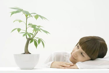 女性秋季养生全解析：护肺润燥，轻松拥有好气色