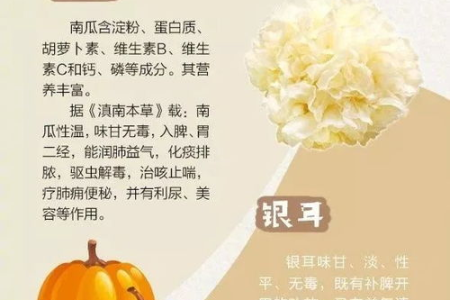秋季怎么滋补才能抵抗秋燥？秋季养生秘籍大公开