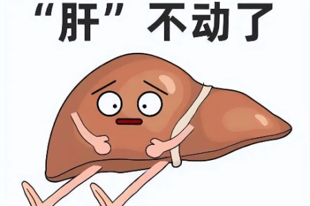 春季养肝防肝病：远离这些伤肝的雷区！