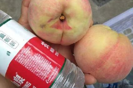 酷暑难耐？来杯冷饮解解暑，这些冷饮你都喝过吗？