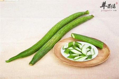 秋天吃丝瓜有什么好处？功效作用及营养价值大揭秘