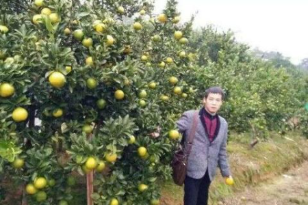 秋季腹泻能不能吃橘子？不同情况下的饮食建议