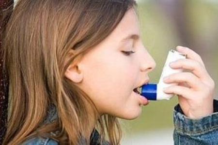 秋季过敏，益生菌能否改善过敏症状？