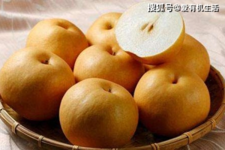 秋燥难耐选什么梨？雪梨VS山梨，哪个更润燥？