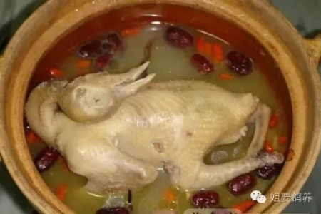 秋季吃鸽子，好处多到你想不到，赶紧试试！