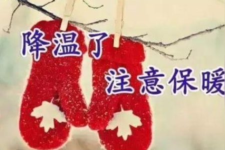 想给老人冬季进补？这几个食谱简单又营养