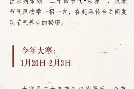 大雪节气养生食谱：简单易做的御寒菜肴推荐