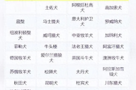 石家庄禁养犬传闻是真的吗？辟谣来了，最新消息速看！