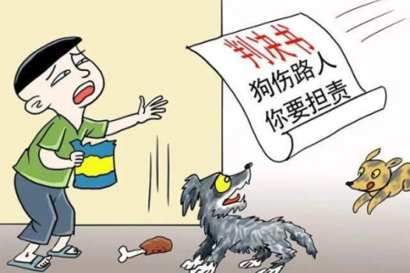 好心喂流浪狗，却因它咬伤人担责？投喂者责任大揭秘！