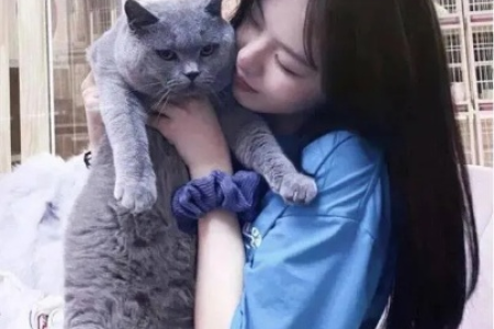 为什么男人都喜欢猫系女？从心理学角度分析其魅力所在