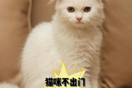 猫咪长期不出门，还需要定期驱虫吗？