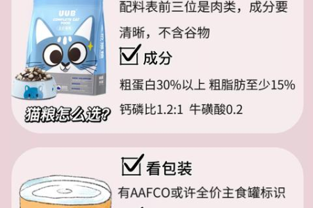 新手养猫图解：十个实用技巧助你轻松养猫不踩雷