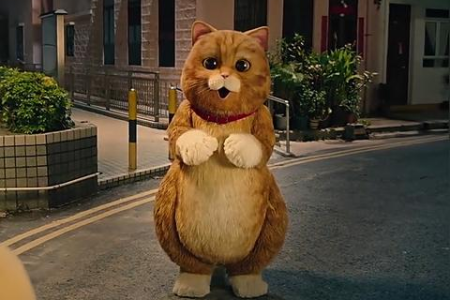 萌猫保卫战猫咪种类攻略：轻松通关的秘诀分享