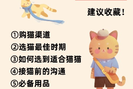 新手养猫别慌！四个实用攻略帮你避坑
