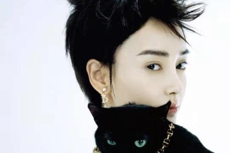猫咪的野性从何而来？驯化与野生本能的博弈