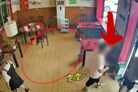 宠物店老板怒斥：别再把流浪猫扔我店门口了！