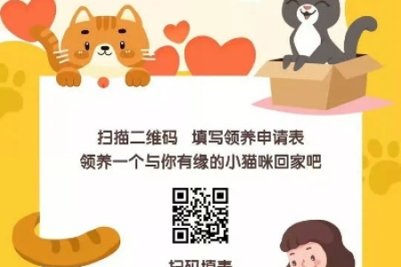 萌宠志猫粮申领指南：如何免费获得救助粮