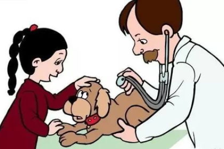 炎炎夏日，如何预防狗狗中暑？宠物防暑必备知识