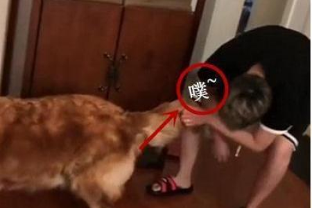 狗狗舔了沐浴露会怎么样？家长必看安全指南！