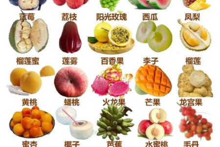 天热多吃水果？夏季吃水果不要太多！
