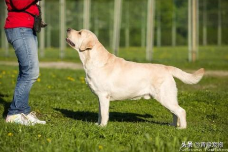 高温作业人员如何科学补充营养？夏季防暑降温饮食指南