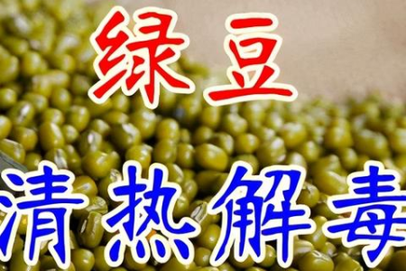 夏季养生食谱：哪些食物既解暑又对身体好？