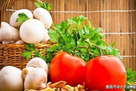 夏季高温，吃对蔬菜很重要，这些你都知道吗？