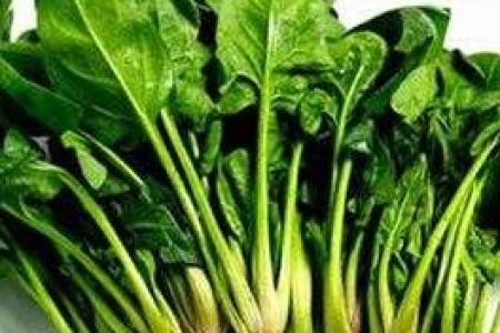夏季哪些凉拌蔬菜不能生吃？这份清单帮你避开健康风险