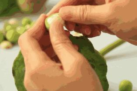 夏季必备10种清凉消暑食物，简单易做，美味又健康！