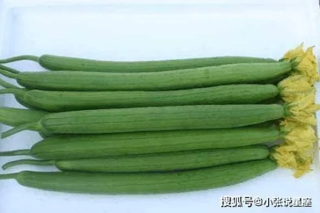 秋季女性必备养颜食物：丝瓜的功效与美味吃法