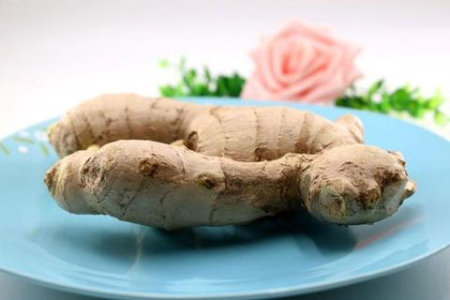 秋季养生必备：这些食物让你轻松度过干燥的秋季
