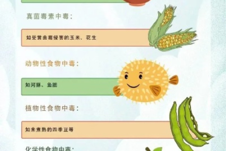 炎炎夏日，谨防食物中毒！八个实用技巧教你安全饮食。