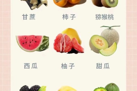 不同体质夏季吃水果指南：这些水果你真的适合吃吗？