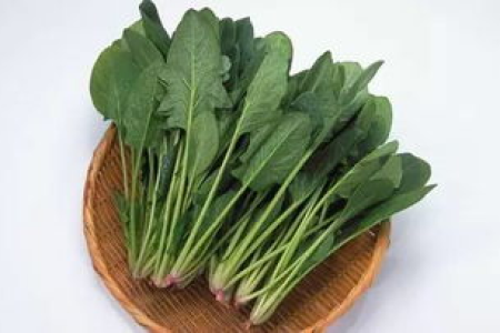 春天来了，吃菠菜养肝护眼明目！