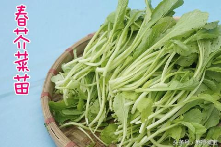 春天别怕苦！多吃这些苦味食物，让你健康一整年