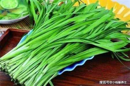春天来了，吃韭菜正当时，健胃消食助消化！