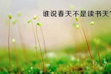 春天吃什么种子好？告诉你如何用种子保护生机